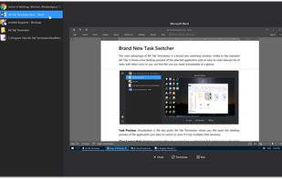 Alt-Tab Terminator screenshot 3