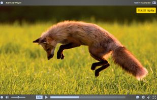 Alternate Player for Twitch.tv screenshot 1