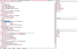 Text and Graphical XML Editing Views