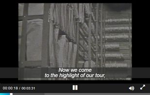 Amalia.js screenshot 1