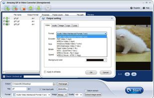 Amazing GIF to Video Converter screenshot 1