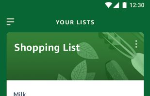 Amazon Alexa screenshot 3