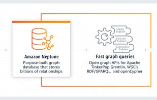 Amazon Neptune screenshot 1