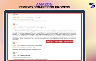 Amazon Reviews Exporter