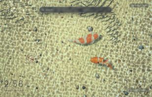 Shallow Pond (Pro): a bird's-eye view of a sunlit pond, with koi gliding over pebbles and minnow schools darting past.