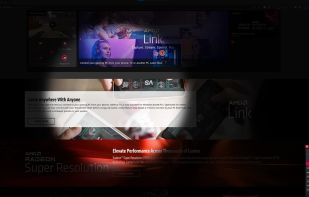 AMD Privacy View screenshot 1