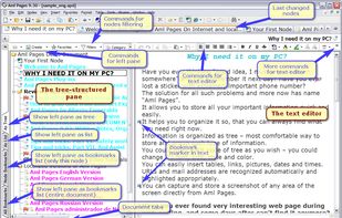 AML PAGES screenshot 1