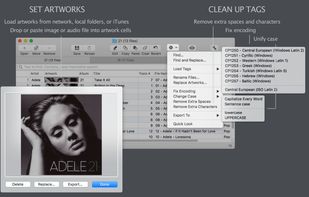 Set artworks and clean up tags of extra spaces, characters, and wrong encoding.