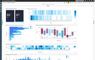 Predictive Analytics Dashboards