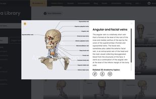 3D model viewer and articles