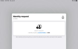 Anchor Wallet screenshot 2