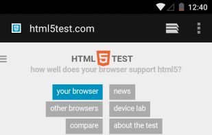 Android System Webview screenshot 1