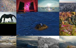 Videos in Island Layout