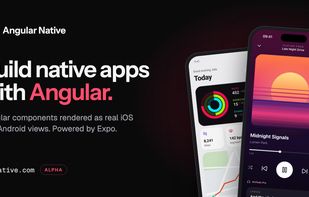 Angular Native screenshot 1