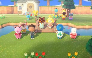 Animal Crossing screenshot 2