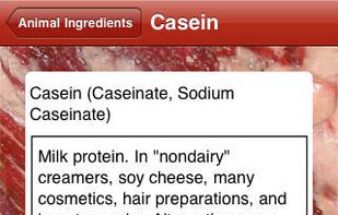 Animal Free screenshot 2