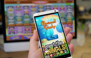 Animal Party Free Game