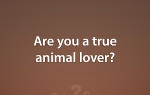 Animal Quiz Game screenshot 1