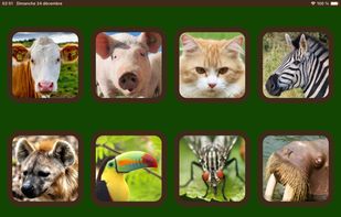 Animal Sounds screenshot 2