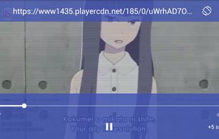 AnimeDLR screenshot 1