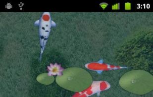 aniPet Koi Live Wallpaper screenshot 1