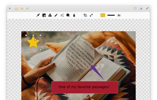 Annotator screenshot 1