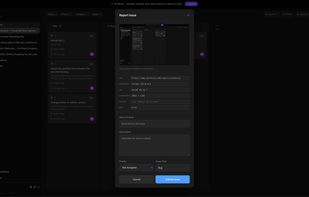 QA Mode capture