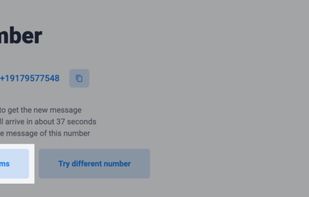 If the reply doesn’t appear, simply click on update latest SMS

It might take from 2-180 seconds to receive your SMS – then you’re good to go