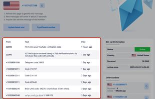 Input the number where you need to register and Wait for the reply to pop up on our website under the number you’ve chosen to use.