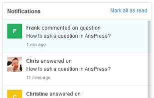 AnsPress screenshot 2