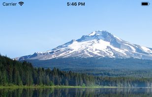 AnswerConnect screenshot 3