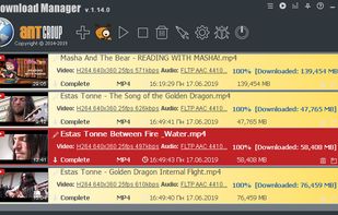 Ant Download Manager screenshot 2
