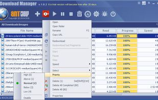 The Ant Download manager main screen and context menu