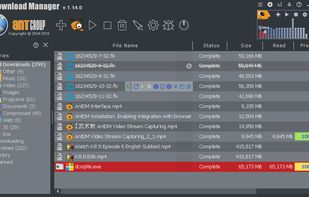 Ant Download Manager screenshot 1