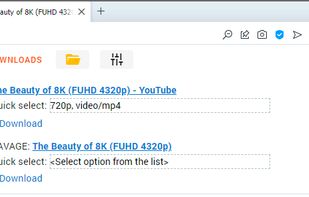 Ant Video Downloader screenshot 1