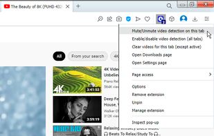 Ant Video Downloader screenshot 2
