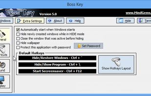 Anti Boss Key screenshot 1