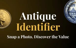 Antiqly screenshot 1