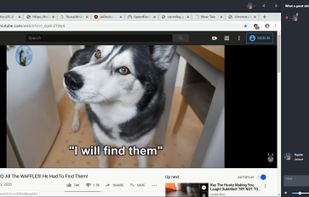 Antler Club screenshot 2