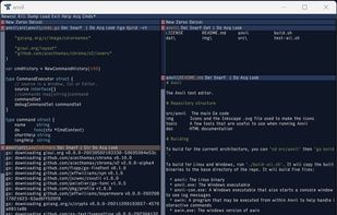 Anvil text editor screenshot 1