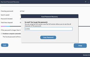 Any Excel Password Recovery screenshot 3