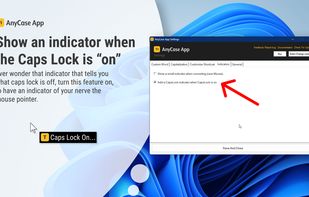 AnyCase screenshot 2