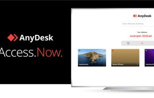 AnyDesk screenshot 1