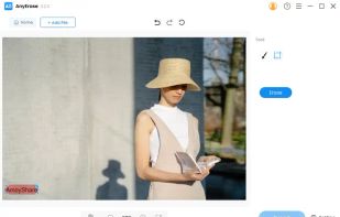 AnyErase Watermark Remover screenshot 2