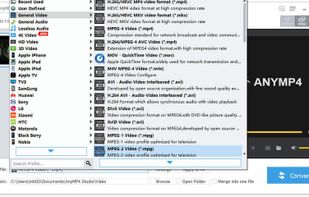 AnyMP4 4K Converter screenshot 2