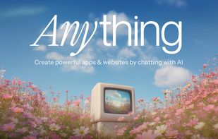 Anything screenshot 1