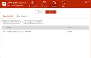 AnyUTube Downloader screenshot 2