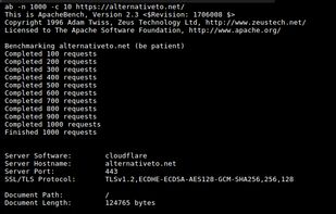 Apache Benchmark screenshot 1