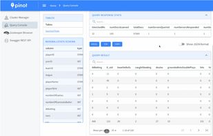 Apache Pinot screenshot 1