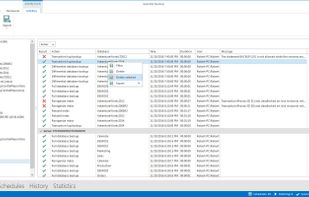 ApexSQL Backup screenshot 2